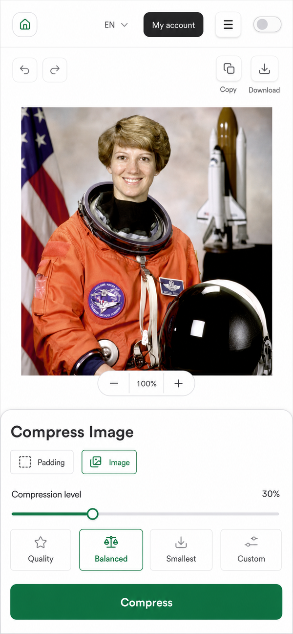 EditGator image editor design concept 32: Precision compression