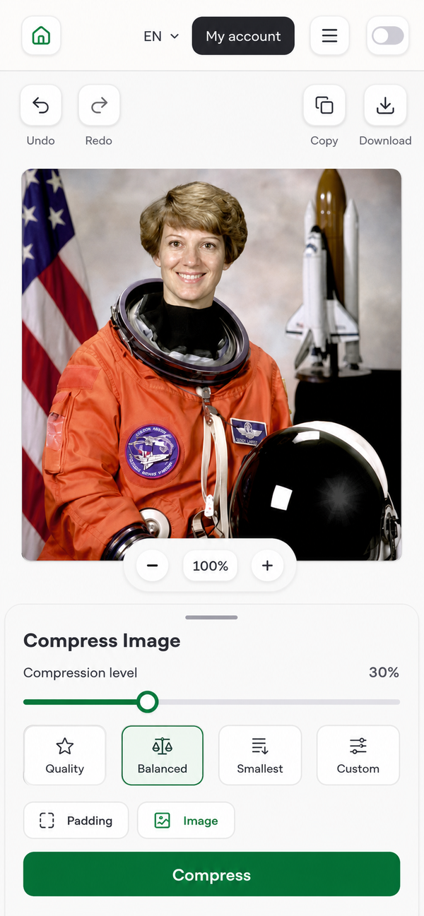 EditGator image editor design concept 37: Accessible high contrast