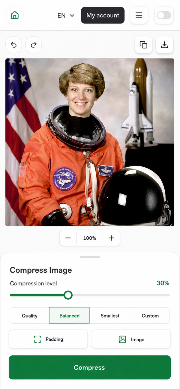 EditGator image editor design concept 39: Expert compression