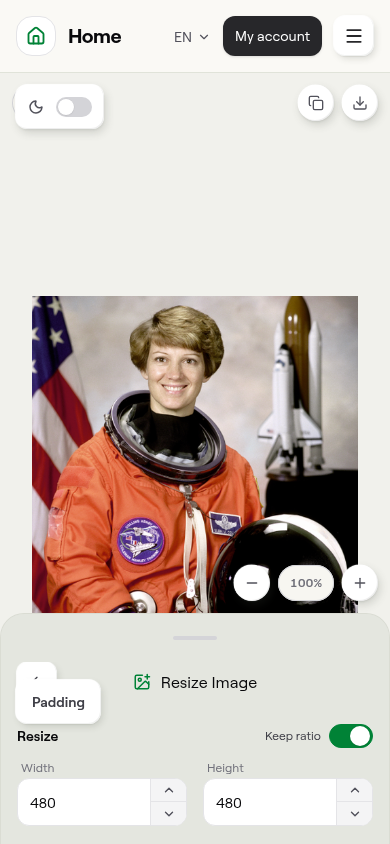 Reference screenshot: Mobile Resize reference