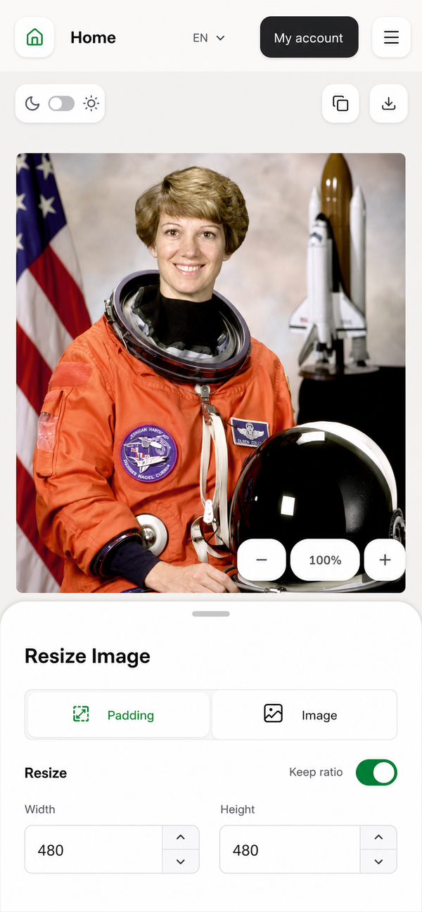 EditGator image editor design concept 22: Precision grid