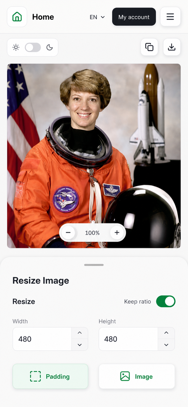 EditGator image editor design concept 27: Accessible contrast