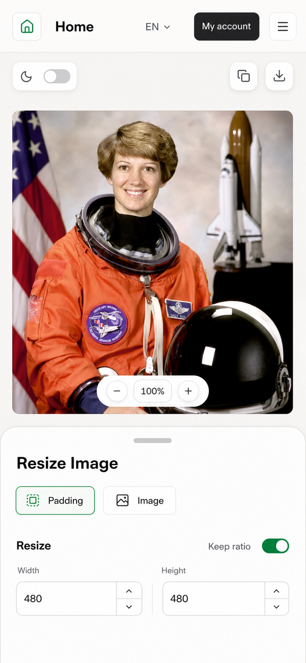 EditGator image editor design concept 29: Expert workspace