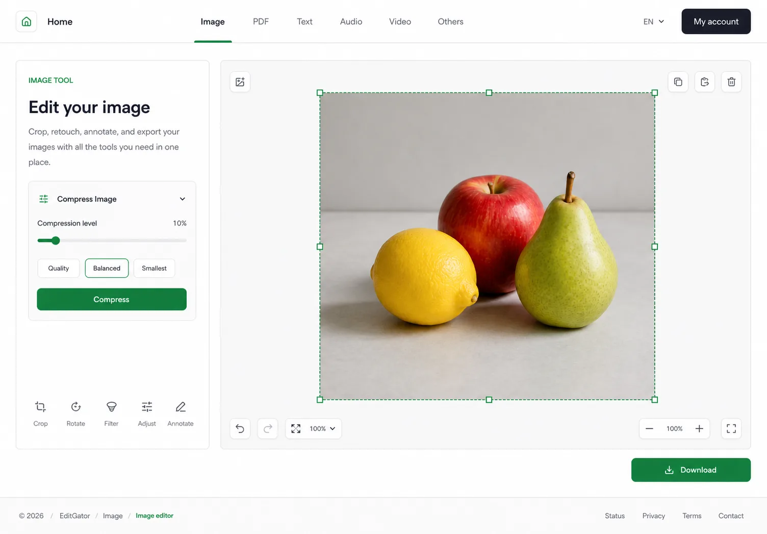 EditGator image editor design concept 2: Precision grid