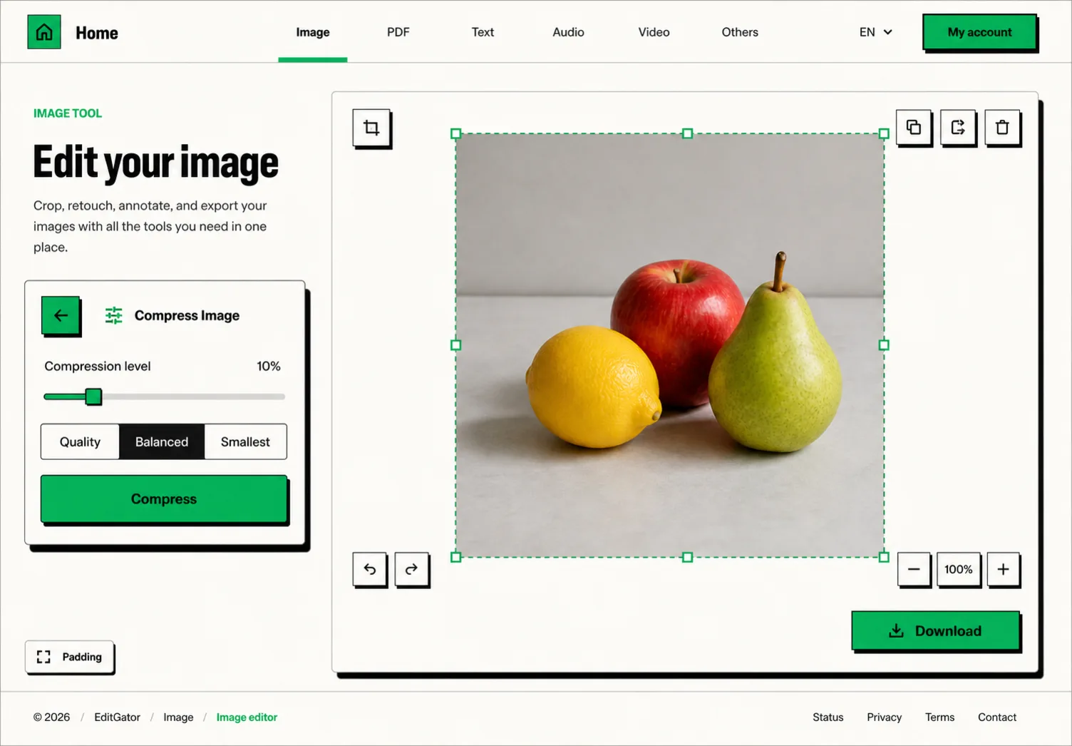 EditGator image editor design concept 6: Neo-brutalist